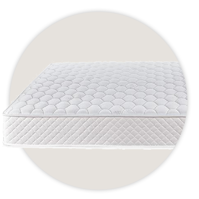 stomata aneksartita elatiria